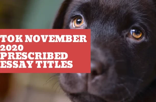 Discover The November 2020 Tok Essay Titles Guide
