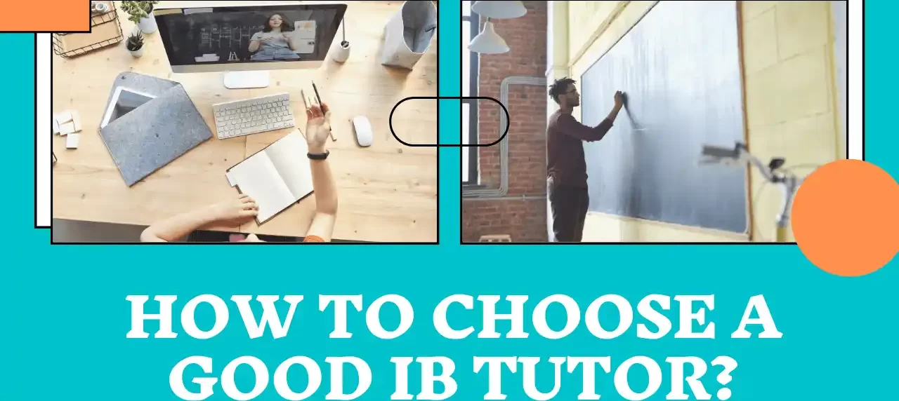 how to choose a good ib tutor