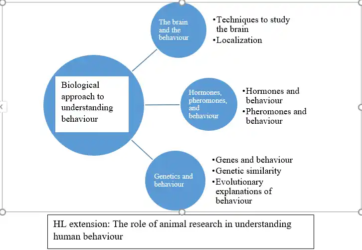 biological approach to understanding behaviour