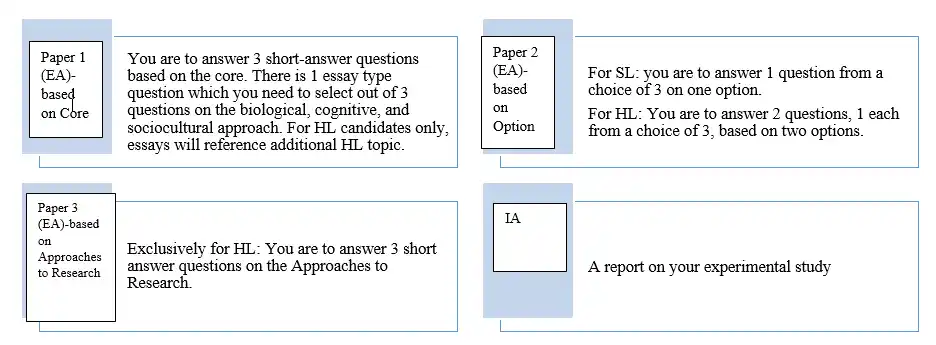 EA Paper